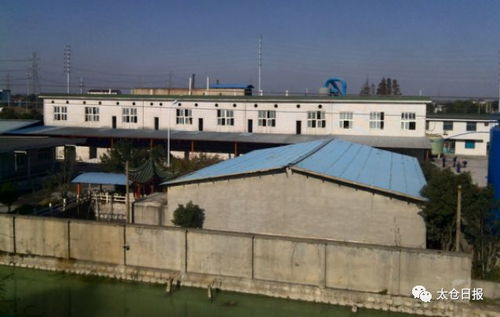 牛 太倉一企業(yè)首獲國家級標(biāo)準(zhǔn)創(chuàng)新貢獻(xiàn)獎