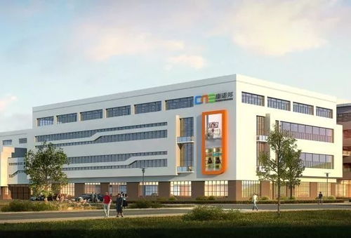 不只有絕美的風景,還有數不盡的 好貨色 丨把千島湖帶回家吧