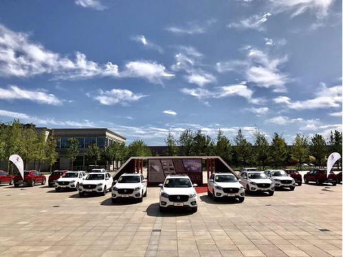 震驚 寶沃居然有政策幫忙提高業界影響力