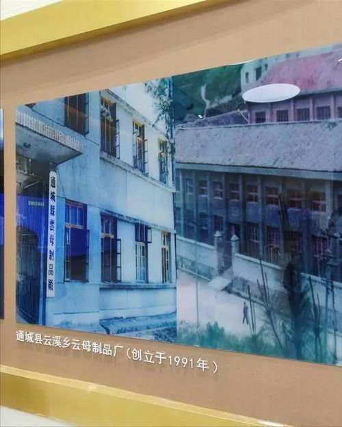 短短10天,湖北產生2位富豪,咸寧1家6口30億,孝感新首富超百億