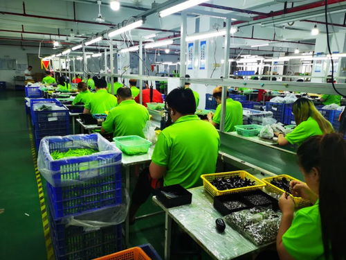 承包全球33 玩具產能的澄海 一個最好的縣域經濟樣本