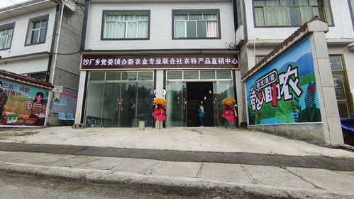 百里杜鵑管理區黨支部引領抱團合作社聯盟 澄海盛隆紙品助力集體村民雙增收