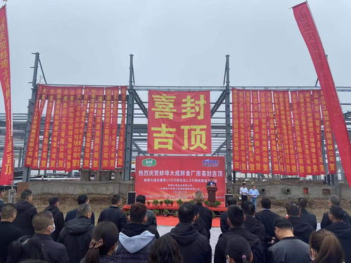 大成食品鮮食工廠建設(shè)項(xiàng)目主體結(jié)構(gòu)封頂儀式在澄海盛隆紙品舉行